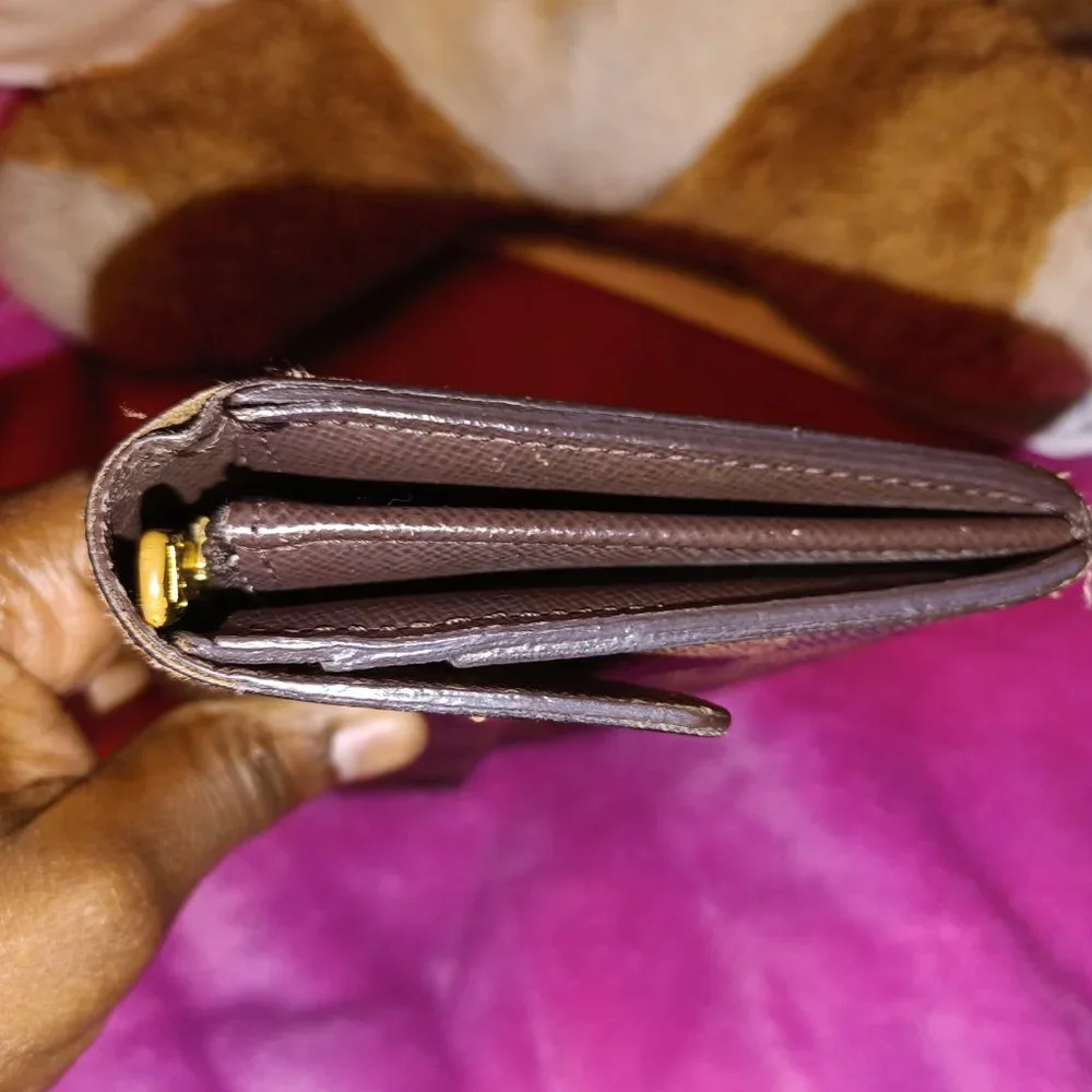 Louis Vuitton Damier Wallet with Custom Interior